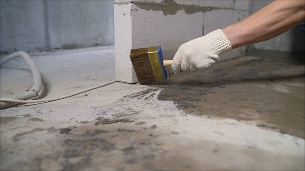 SJ Waterproofing Pros Exterior Waterproofing coverage map for Springfield, MN and surrounding area